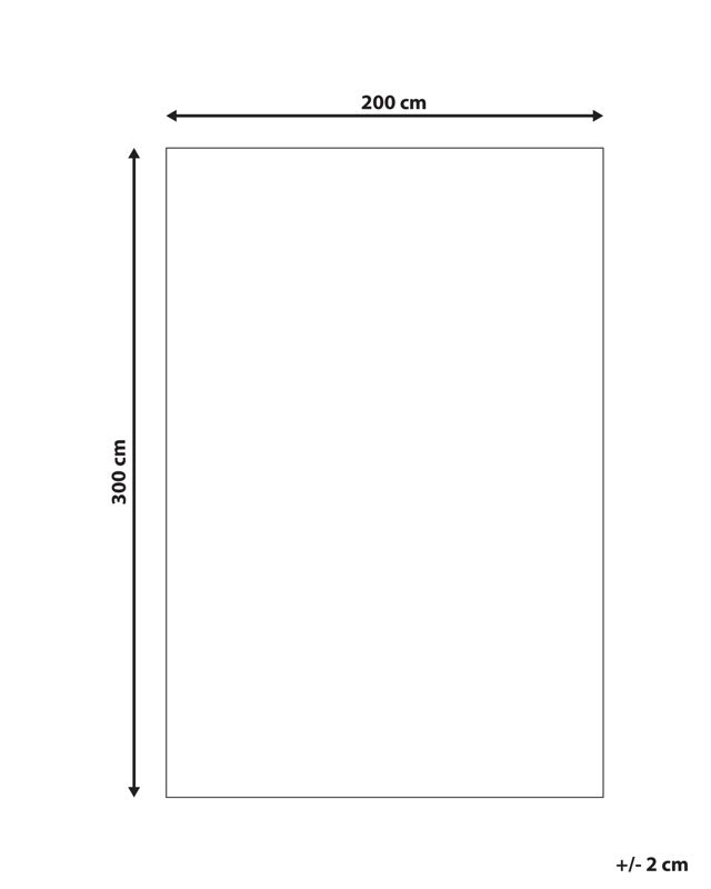 Dywan shaggy 200 x 300 cm niebieski Evren 1 szt.