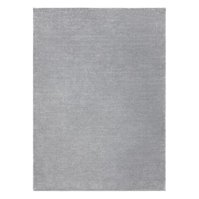 Dywan Softy RugsX 60x100 cm szary AF832 1 szt.