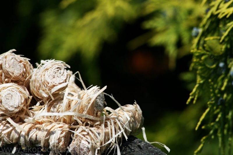 Ekopodpałka rozpałka Feniks do pieca i kominka 2 kg
