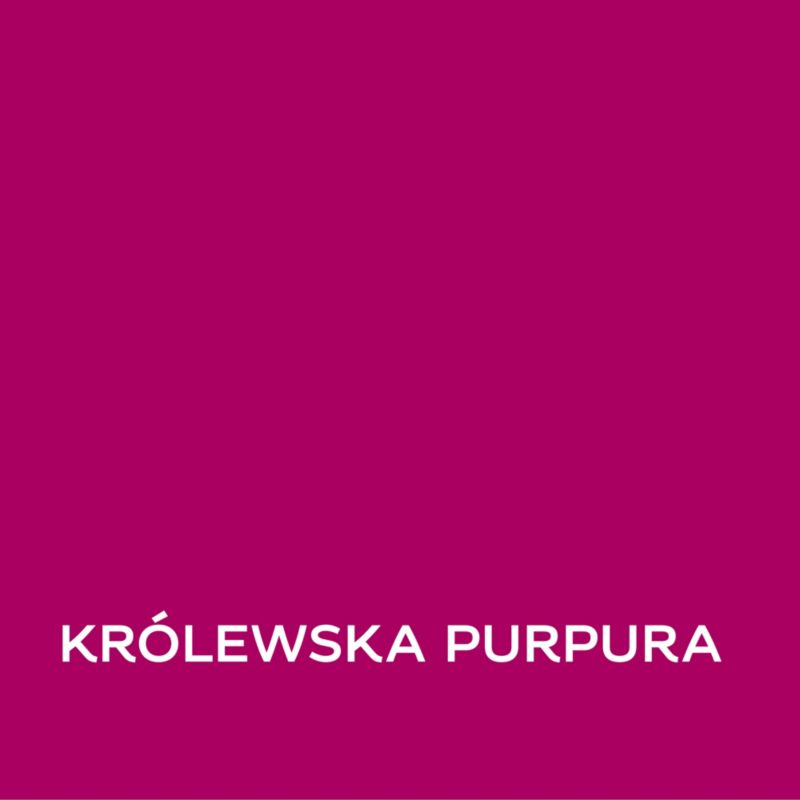 Farba Dulux EasyCare Disney królewska purpura 1 l