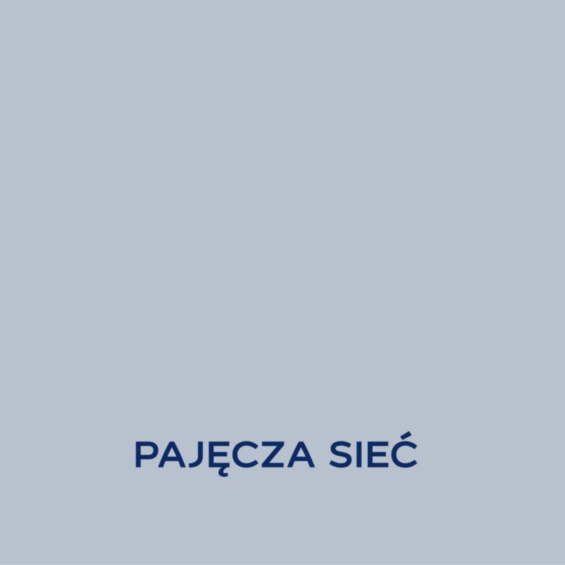 Farba Dulux EasyCare Disney pajęcza sieć 2,5 l