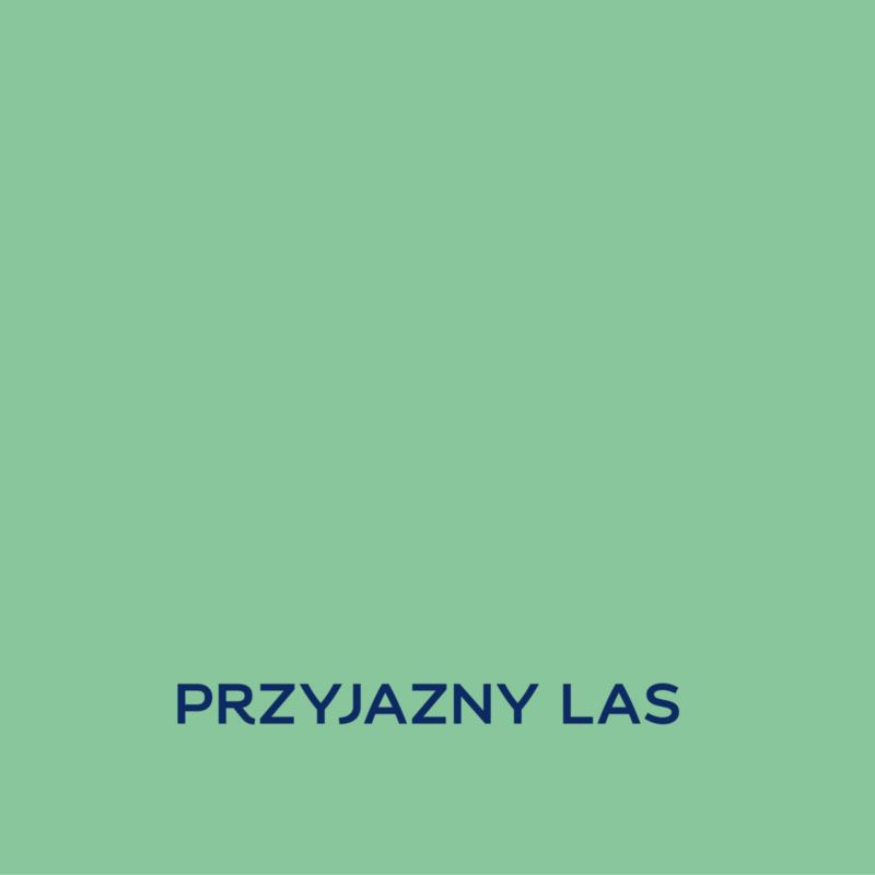 Farba Dulux EasyCare Disney przyjazny las 1 l
