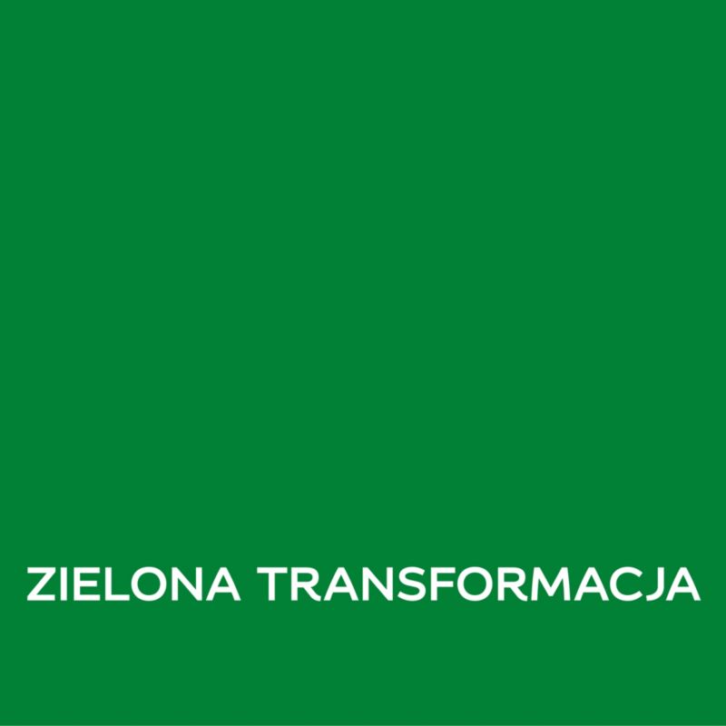 Farba Dulux EasyCare Disney zielona transformacja 1 l