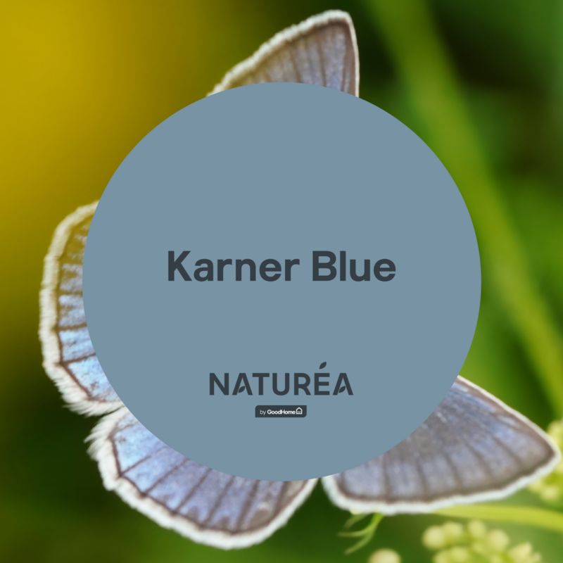 Farba GoodHome Naturea ściany i sufity Karner Blue mat 2,5 l