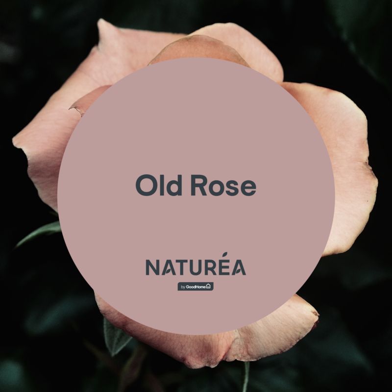 Farba GoodHome Naturea ściany i sufity Old Rose mat 2,5 l