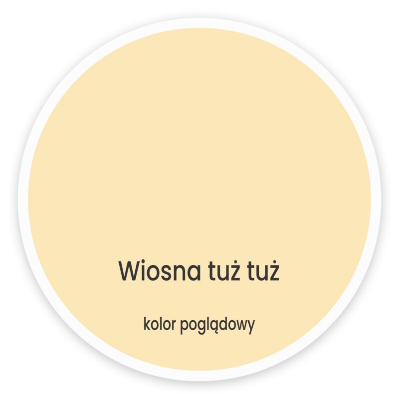 Farba kolorowa Dekoral Voice of Color wiosna tuż tuż 2,5 l