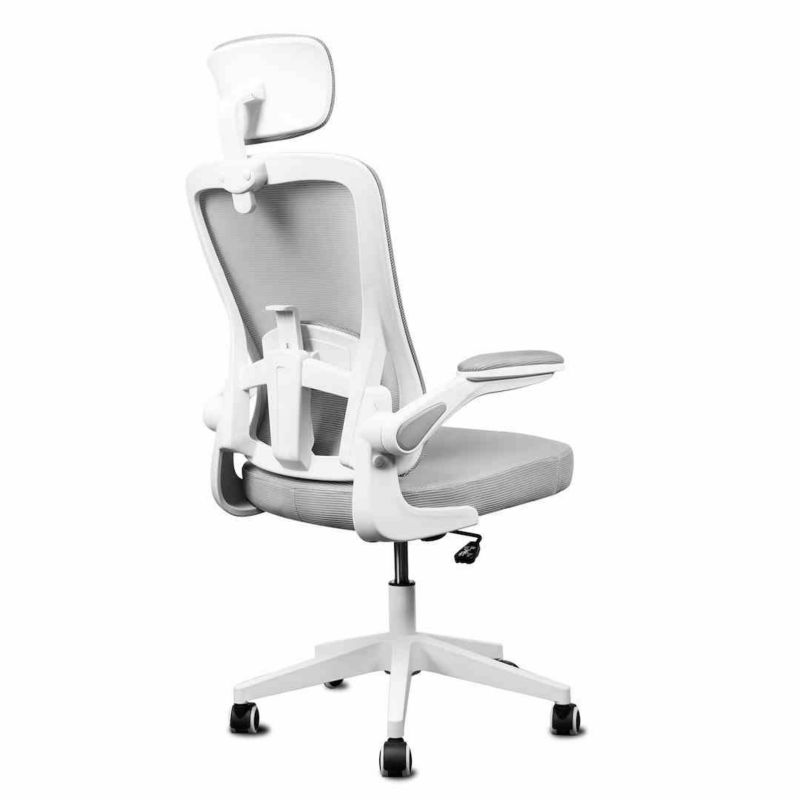 Fotel biurowy ergonomiczny LVNSystem Ergo Lite biały 1 szt.