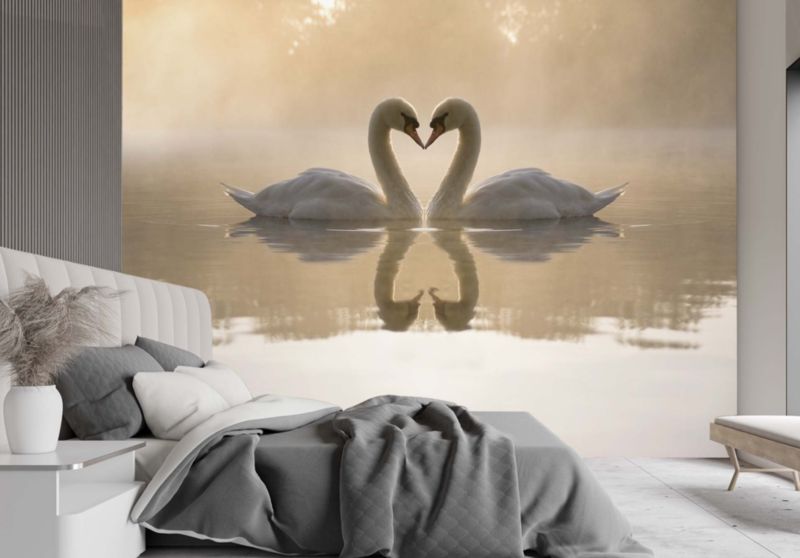 Fototapeta Feeby Łabędzie jezioro  400x280 1 szt
