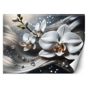 Fototapeta Feeby Abstrakcja 3D Orchidea  400x280 1 szt