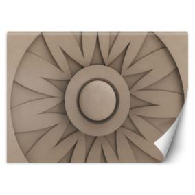 Fototapeta Feeby Abstrakcja 3D Rozeta  250x175 1 szt