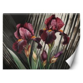 Fototapeta Feeby Abstrakcja czerwone kwiaty  150x105 1 szt