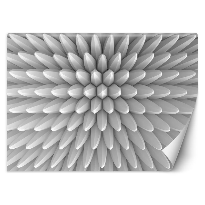 Fototapeta Feeby Abstrakcja kolce tekstura 3D  350x245 1 szt
