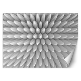 Fototapeta Feeby Abstrakcja kolce tekstura 3D  350x245 1 szt