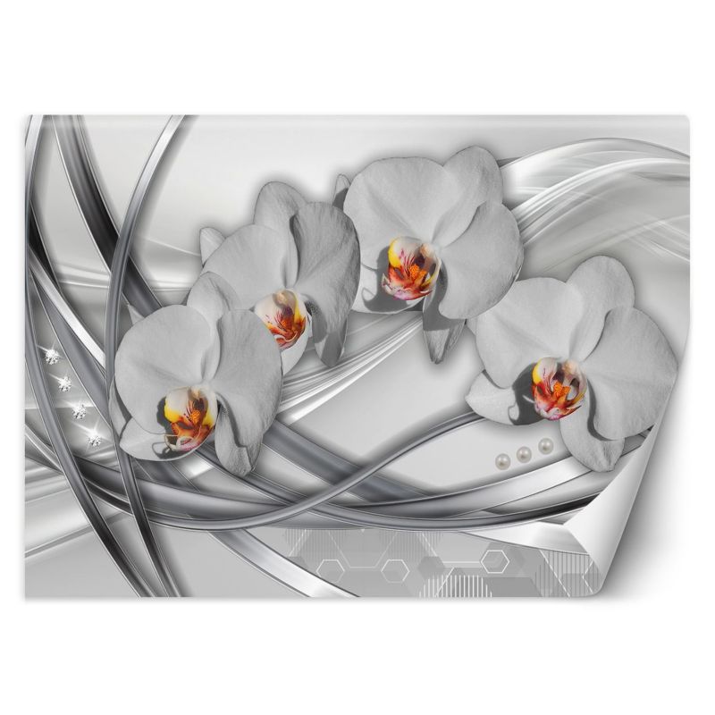 Fototapeta Feeby Abstrakcja orchidea  250x175 1 szt