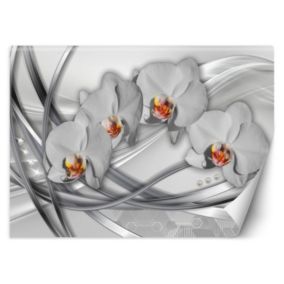Fototapeta Feeby Abstrakcja orchidea  250x175 1 szt