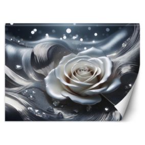 Fototapeta Feeby Abstrakcja płatka róży 3D  400x280 1 szt