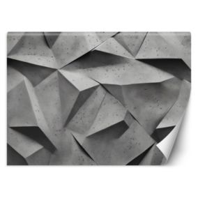 Fototapeta Feeby Abstrakcyjne kształty 3D  250x175 1 szt