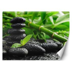 Fototapeta Feeby Bambus kamienie zen  250x175 1 szt