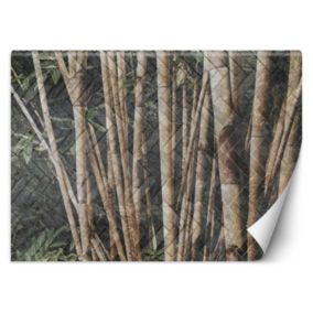 Fototapeta Feeby Bambusowy las  300x210 1 szt