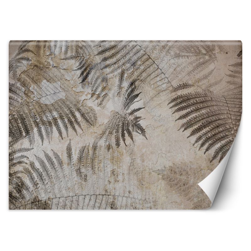 Fototapeta Feeby Beton Paproć Liście Szary  150x105 1 szt