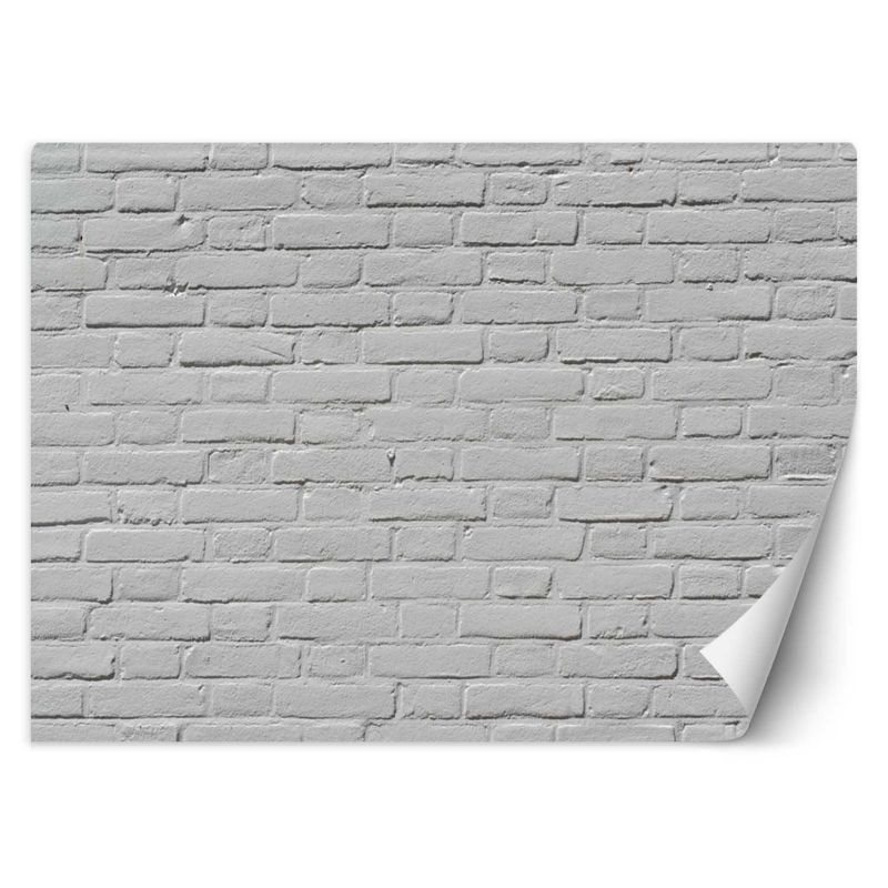 Fototapeta Feeby Biała ściana z cegły  150x105 1 szt