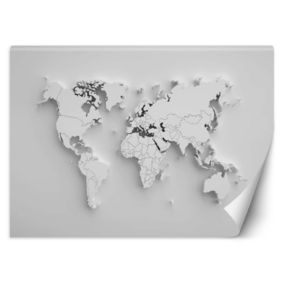 Fototapeta Feeby Biała mapa świata 3D  300x210 1 szt