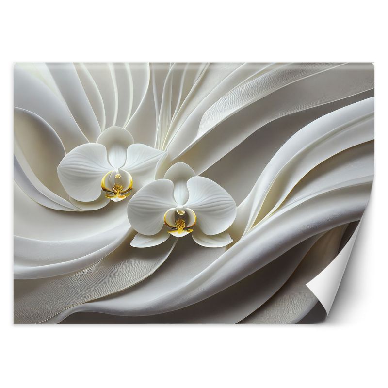 Fototapeta Feeby Biała orchidea abstrakcja 3D  100x70 1 szt