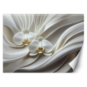 Fototapeta Feeby Biała orchidea abstrakcja 3D  100x70 1 szt