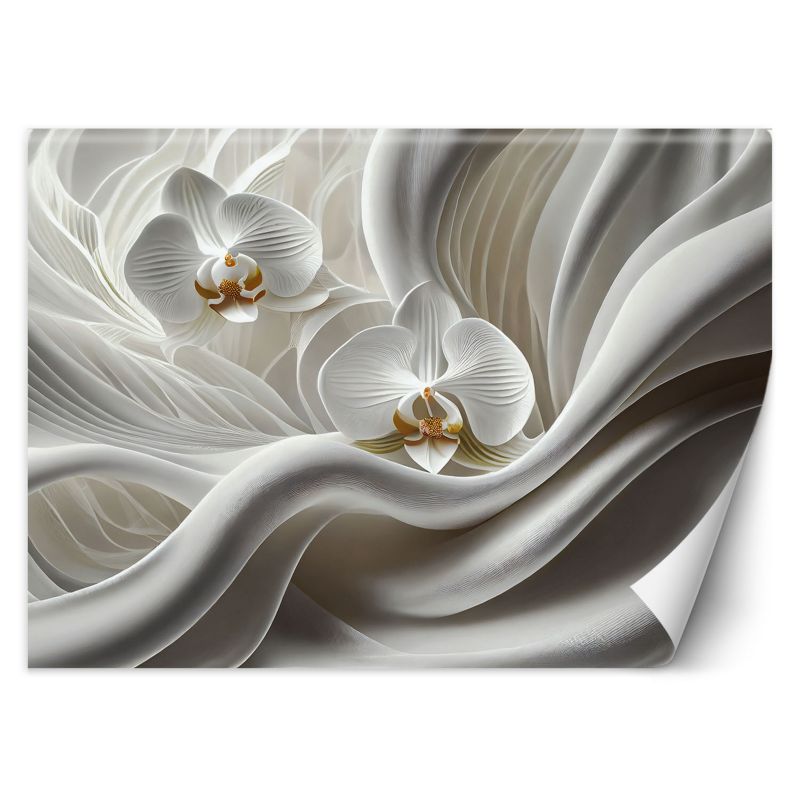Fototapeta Feeby Biała orchidea i abstrakcja 3D  150x105 1 szt
