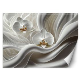 Fototapeta Feeby Biała orchidea i abstrakcja 3D  150x105 1 szt