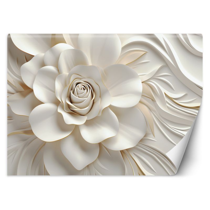Fototapeta Feeby Biała róża 3D  250x175 1 szt