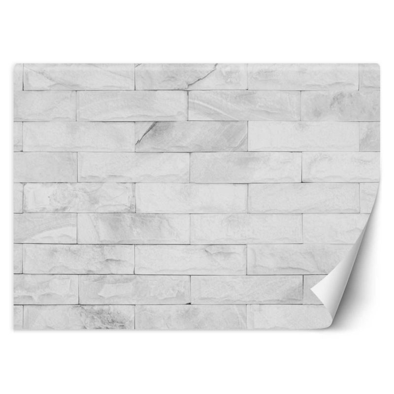 Fototapeta Feeby Białe cegły  250x175 1 szt