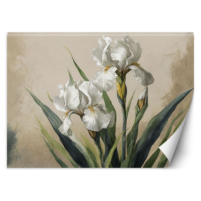 Fototapeta Feeby Białe kwiaty  200x140 1 szt