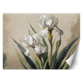 Fototapeta Feeby Białe kwiaty  250x175 1 szt