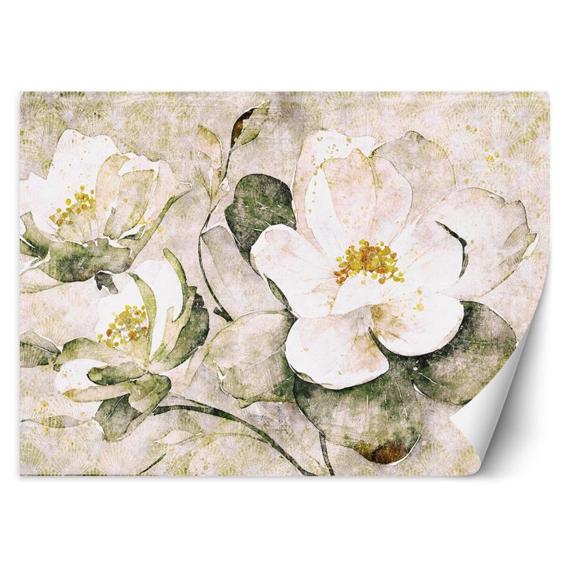 Fototapeta Feeby Białe kwiaty natura  400x280 1 szt