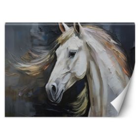 Fototapeta Feeby Biały koń  350x245 1 szt