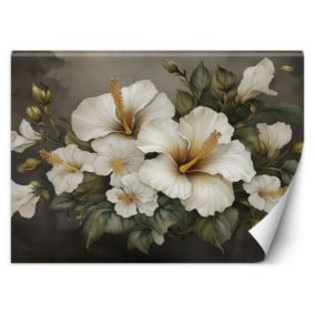 Fototapeta Feeby Biały kwiat hibiskusa  300x210 1 szt