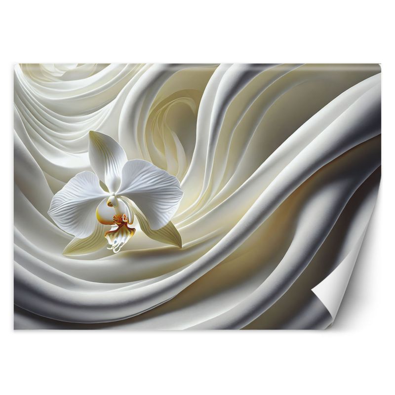 Fototapeta Feeby Biały Storczyk  150x105 1 szt