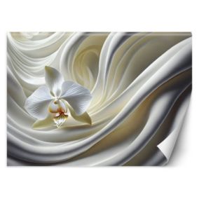 Fototapeta Feeby Biały Storczyk  350x245 1 szt