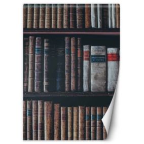 Fototapeta Feeby Biblioteka książki  150x210 1 szt