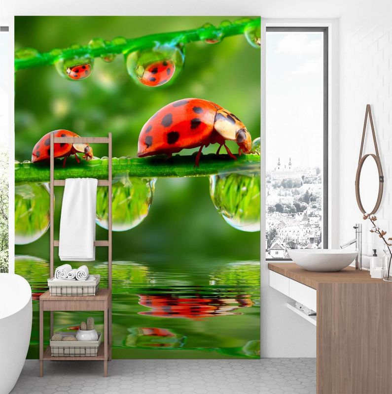 Fototapeta Feeby Biedronki krople wody  150x210 1 szt