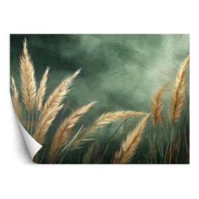 Fototapeta Feeby Botanika Przyroda Trawa  350x245 1 szt