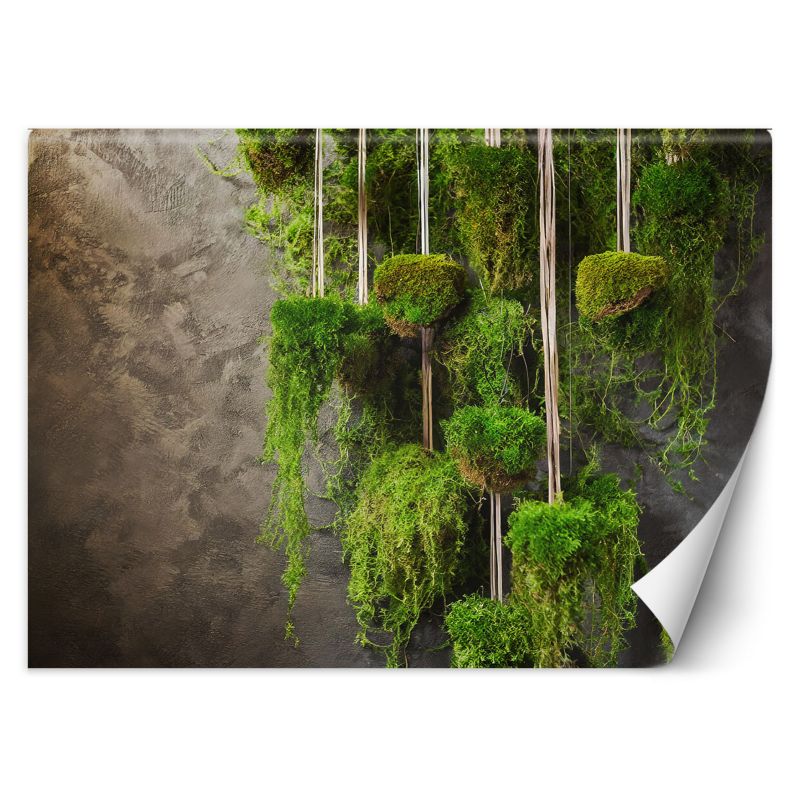 Fototapeta Feeby Botanika roślin mchu  100x70 1 szt