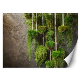 Fototapeta Feeby Botanika roślin mchu  350x245 1 szt