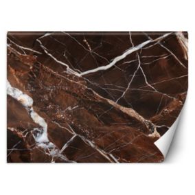 Fototapeta Feeby Brązowy Marmur Abstrakcja Glamour  150x105 1 szt