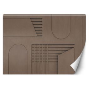 Fototapeta Feeby Brązowy Relief 3D  350x245 1 szt