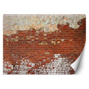 Fototapeta Feeby Cegła mur  200x140 1 szt