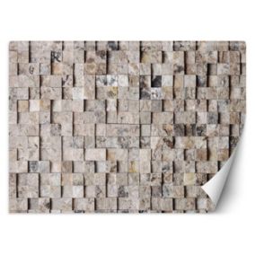 Fototapeta Feeby Ściana z jasnego kamienia  300x210 1 szt
