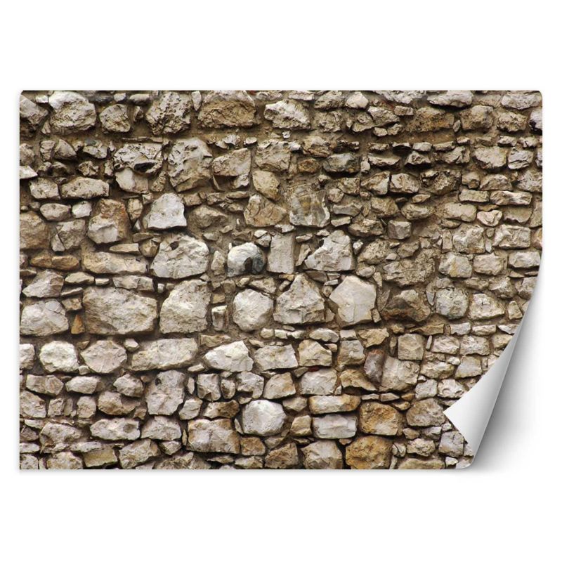 Fototapeta Feeby Ściana z kamienia  350x245 1 szt