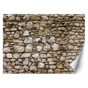 Fototapeta Feeby Ściana z kamienia  350x245 1 szt